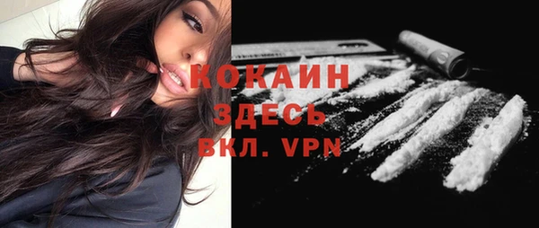 молекула духа Абинск