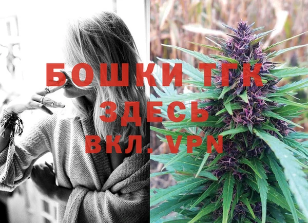 молекула духа Абинск