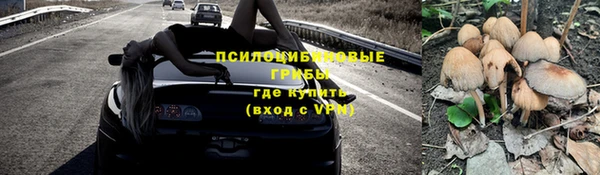 молекула духа Абинск