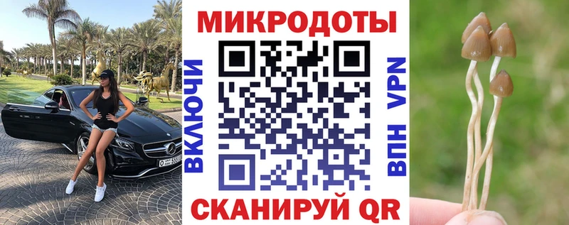 мега ССЫЛКА наркотики Лосино-Петровский Псилоцибиновые грибы мицелий