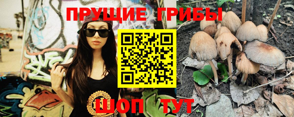 Галлюциногенные грибы Psilocybe Лосино-Петровский