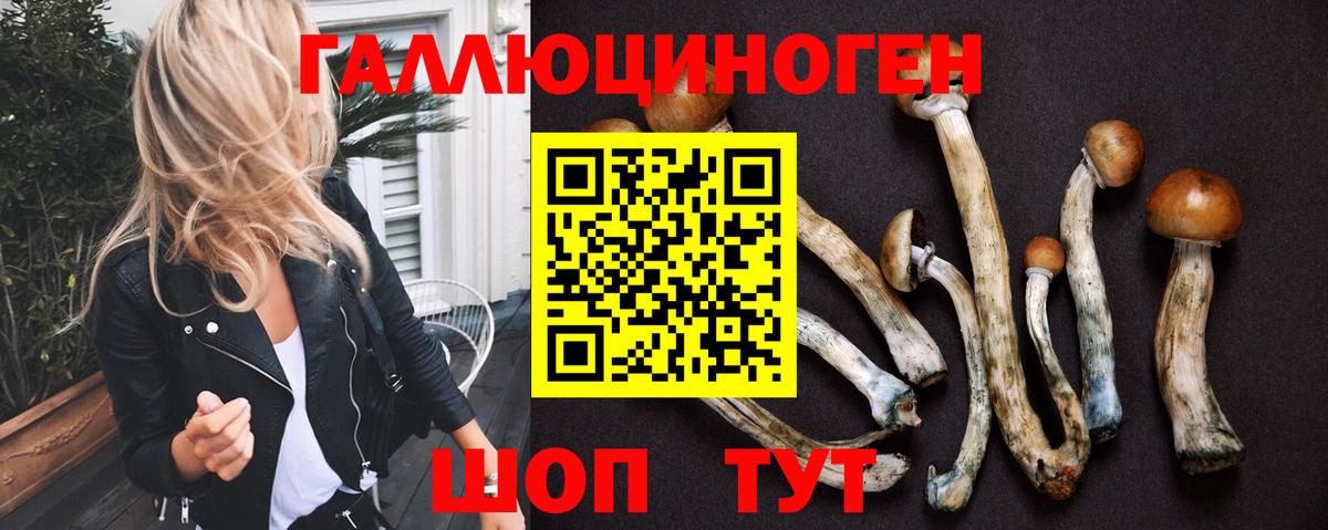 Лосино-Петровский  Псилоцибиновые грибы MAGIC MUSHROOMS  Псилоцибиновые грибы прущие грибы  Вход с VPN 