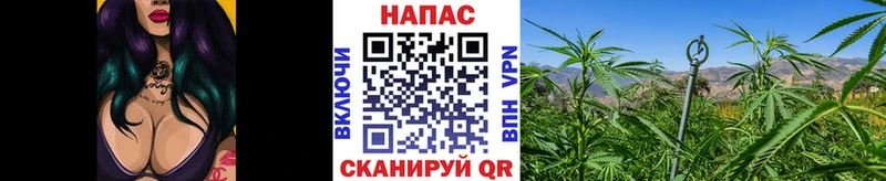 Каннабис конопля Лосино-Петровский