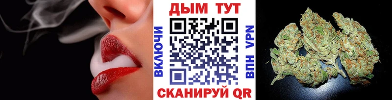 Бошки марихуана White Widow где купить наркоту Лосино-Петровский